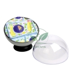 Plant Cell Model