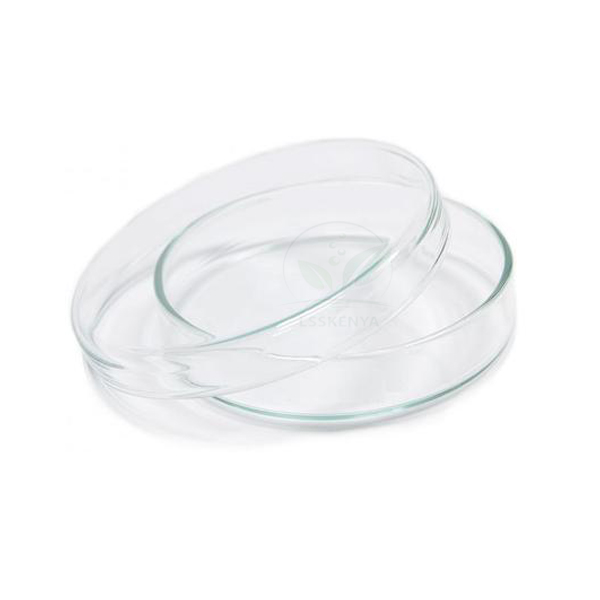 Petri Dish Glass With Lid
