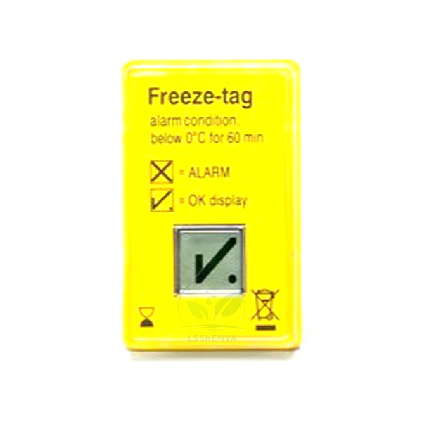 Freeze-tag