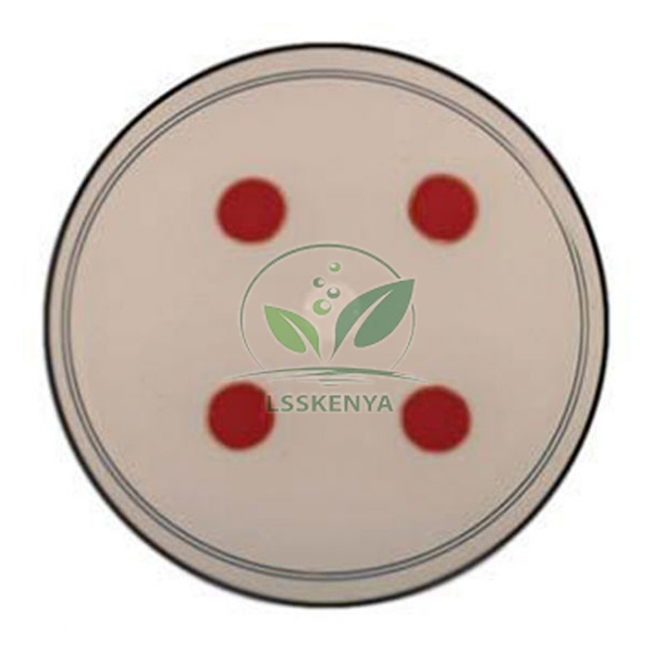 Forensics Antigen Detection