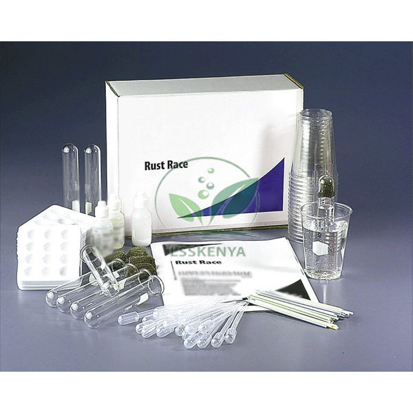 Rust Race Lab Investigation