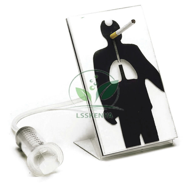 Effects of Smoking Model