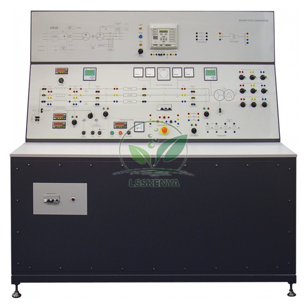 Salient Pole Generator