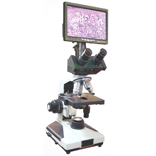 Trinocular Research Microscope With Digital Microscopy Screen Camera