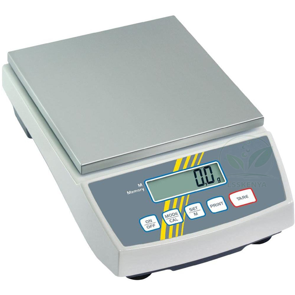 Precision Digital Scale