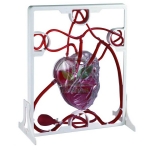 Pumping Heart Model