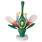 Large Size Flower Model