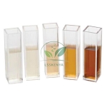 Principles of Enzyme Catalysis